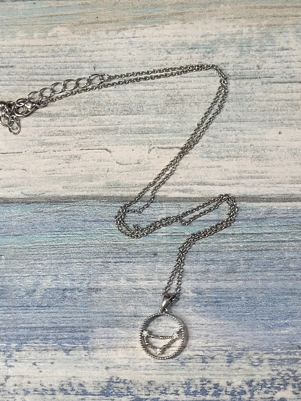 Silver-Tone Zodiac Capricom Pendant Necklace